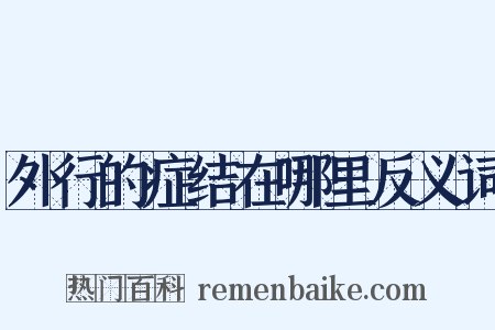 外行的症结在哪里反义词是什么意思的图片